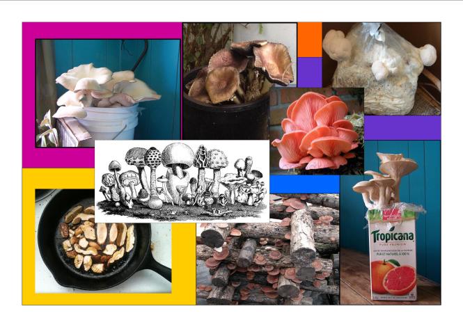 Mushroom Workshop collage2